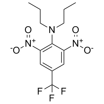 DFong 3