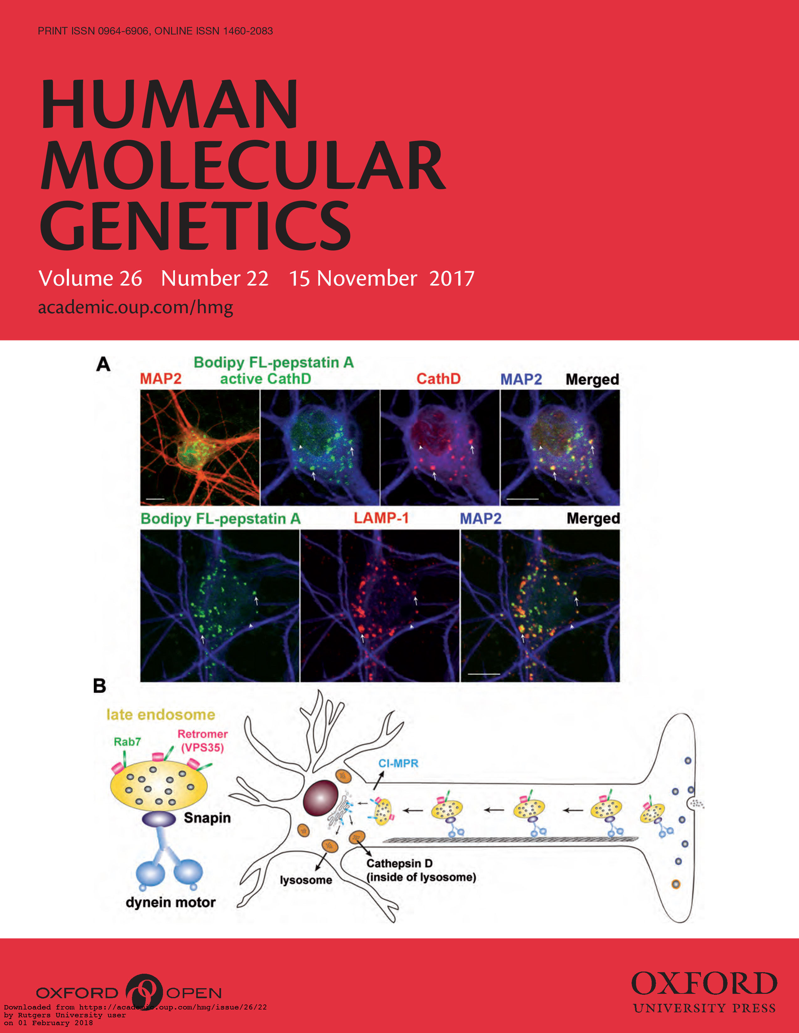 cai 6